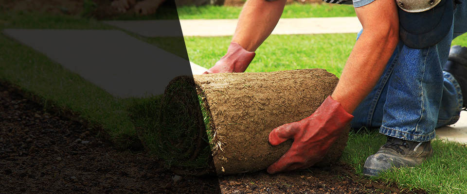 Labelle Landscapers
